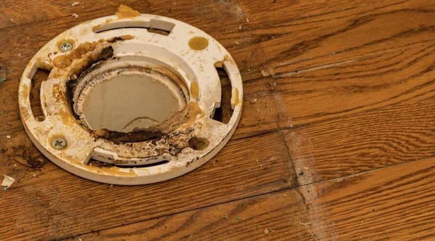 Una flangia per WC è un raccordo per tubi circolare che collega il tuo WC al pavimento