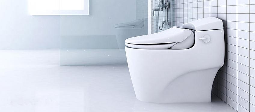 Pensa al sedile del water bidet come a un compromesso tra un bidet a spruzzo verticale