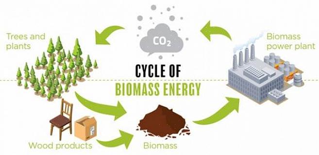 Il combustibile da biomassa può essere convertito direttamente in energia termica attraverso la combustione