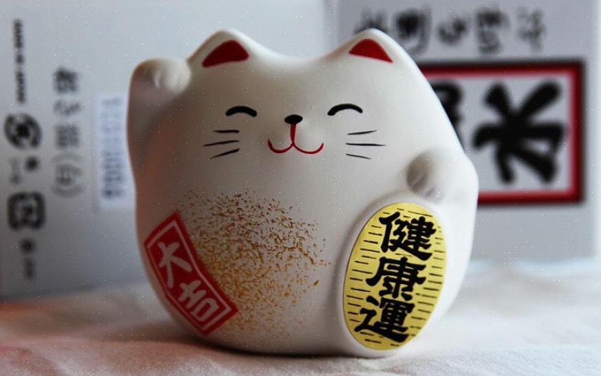 Il gatto fortunato è una cura che proviene dalla cultura giapponese