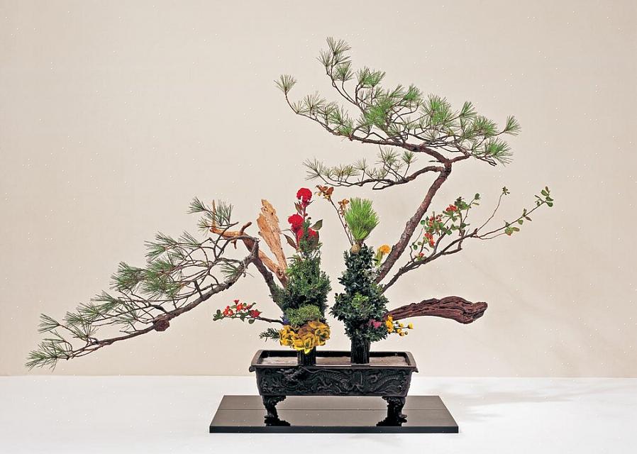 L'arte dell'ikebana può convertire persone che una volta pensavano che le composizioni floreali