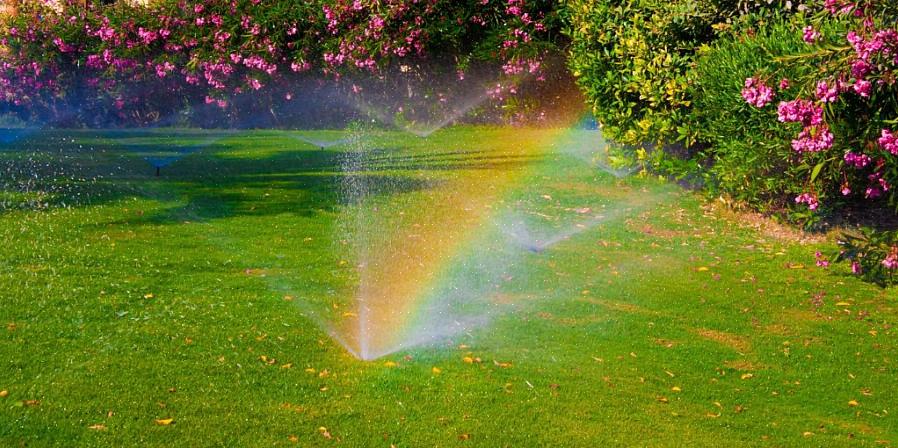 Guarda all'interno delle scatole delle valvole del sistema di irrigazione nel cortile