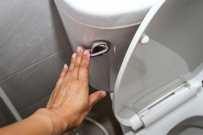 Una tazza o una piccola ciotola funziona per scaricare l'acqua da un water o da un serbatoio