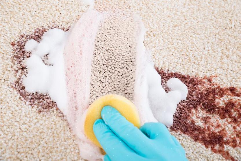 Asciugare con un panno per rimuovere l'acqua ossigenata dal tappeto