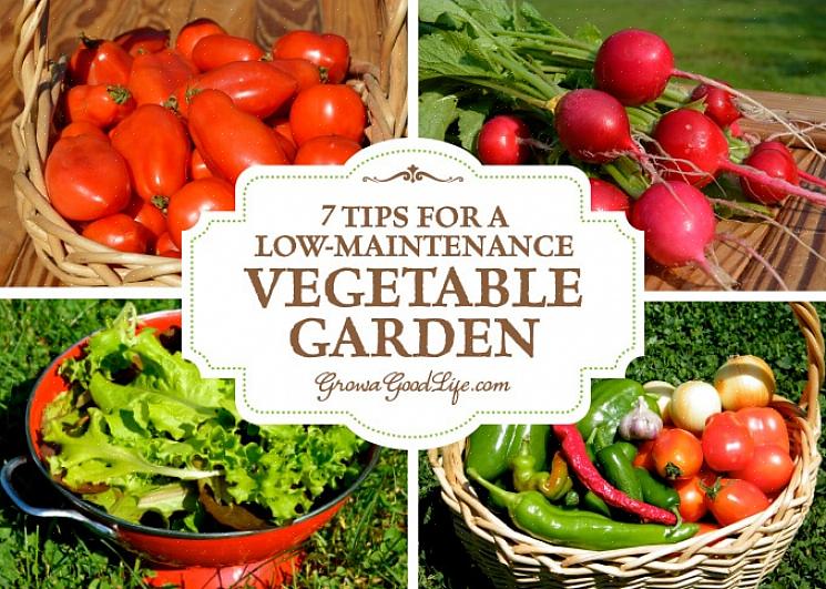 La maggior parte di queste verdure possono essere coltivate in contenitori