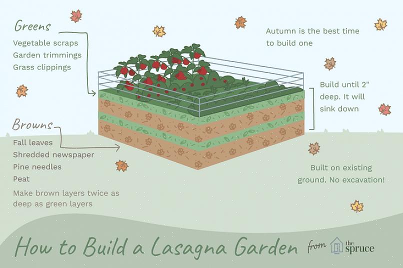 Panoramica Il giardinaggio delle lasagne è un metodo di giardinaggio biologico senza aratura