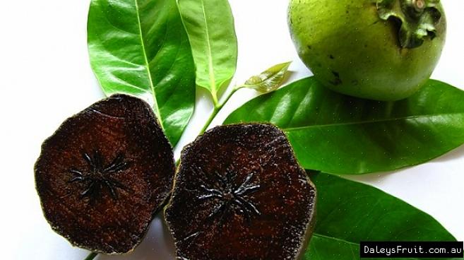 Ho avuto la fortuna di provare uno sapote nero