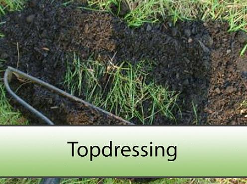 Topdressing un prato è il processo di aggiunta di un sottile strato di materiale sull'erba