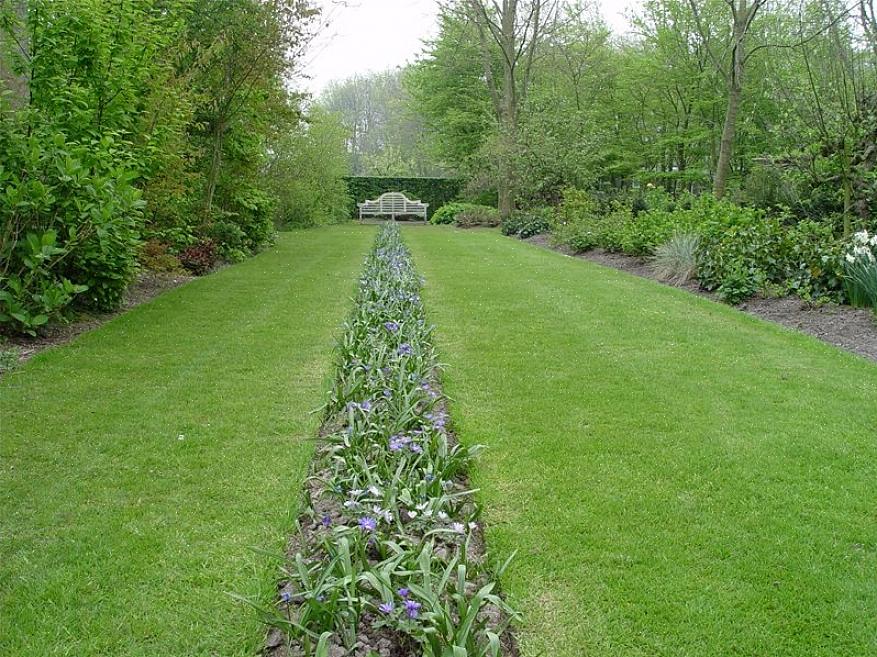 Il suono non è un elemento che viene spesso considerato quando si progetta un giardino