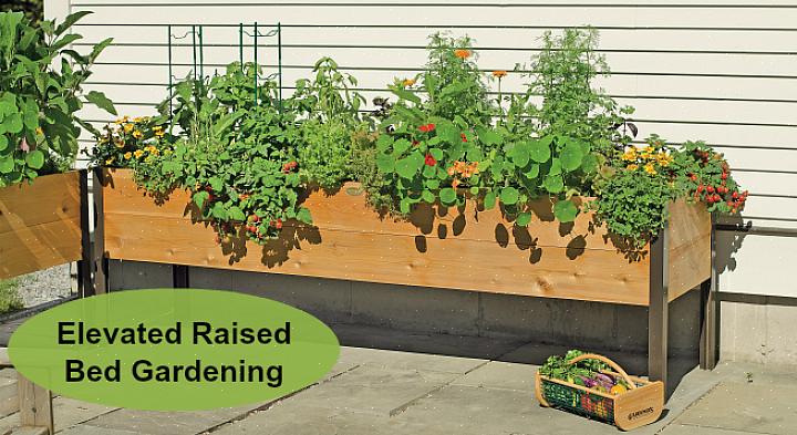 La Grow Box fornisce alle piante un apporto costante di umidità