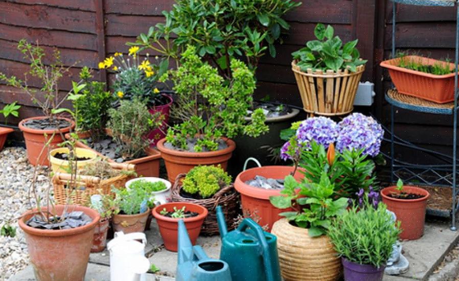 Permettendoti di coltivare piante che potrebbero non essere adatte al terreno naturale del tuo giardino