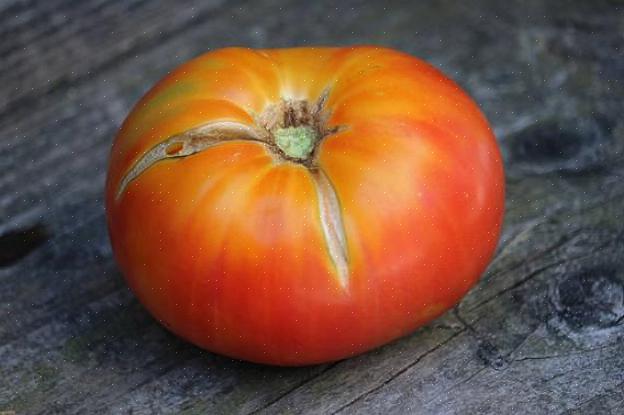 Csikos botermo - Ecco un dolce pomodoro a grappolo con deliziose strisce gialle sulla buccia rossa