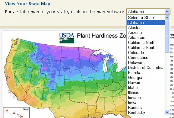Mappa della zona di resistenza USDA dell'Arizona