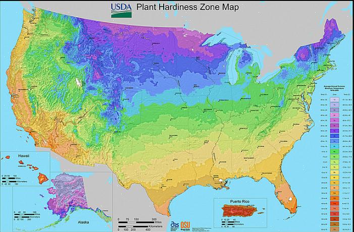 Se non sei sicuro di quali piante prospereranno nella tua particolare posizione nella Carolina del Nord