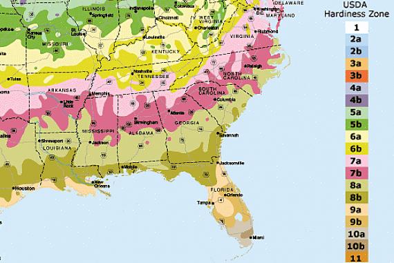 Zone di rusticità USDA della Florida