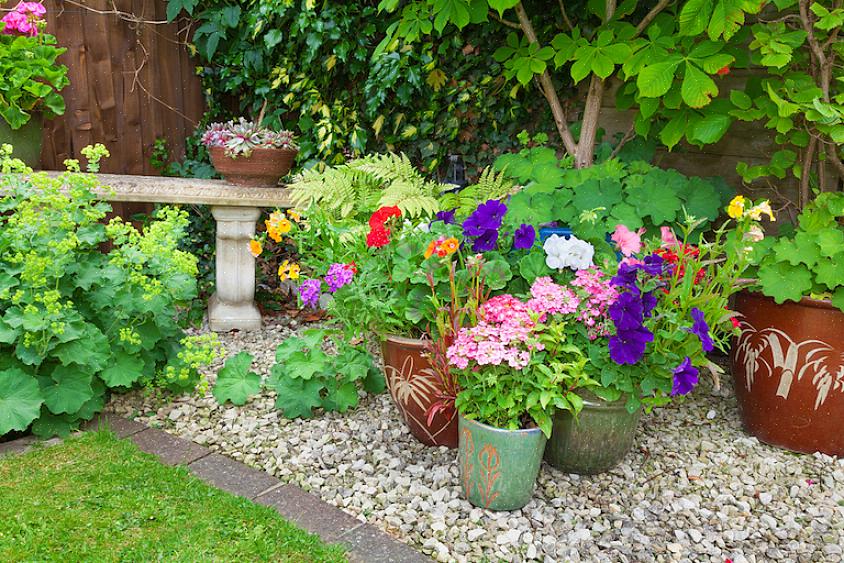 Un giardino all'ombra può essere un'oasi meravigliosamente fresca