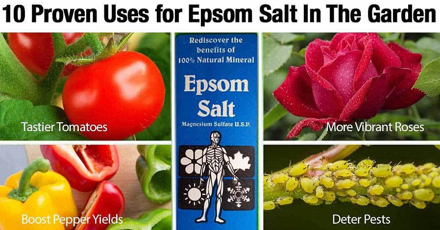 Mescolare 1 cucchiaio di sali di Epsom per litro d'acqua