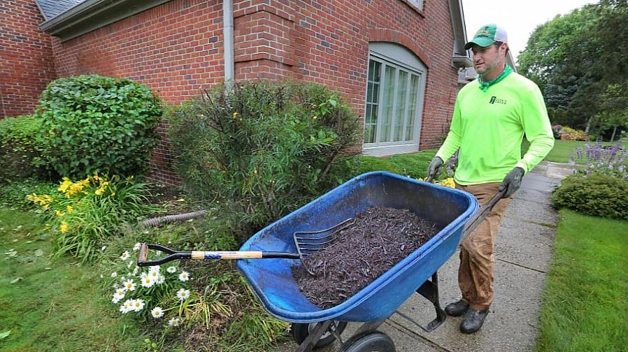 Molti proprietari di case chiedono se il pacciame colorato (chiamato anche "pacciame colorato") è sicuro