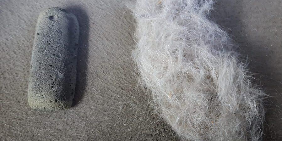 Utilizzare una spazzola per abiti o un rullo appiccicoso per rimuovere la pelliccia rimanente
