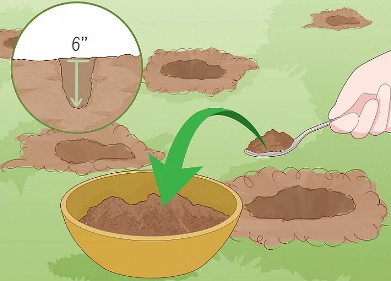 La maggior parte delle piante può adattarsi al pH del suolo che varia da 6 a 7,5