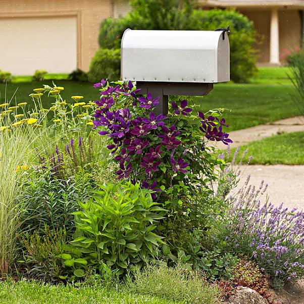 Un giardino delle cassette postali può crescere di dimensioni