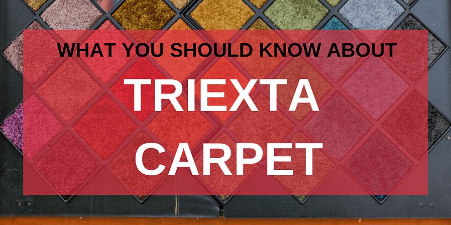 Quando si confronta un tappeto in nylon con un tappeto triexta di qualità equivalente