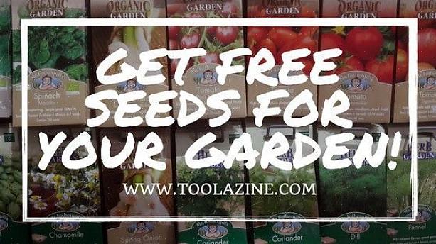 Potresti anche ricevere alcuni semi gratuiti quando richiedi un catalogo di semi gratuito