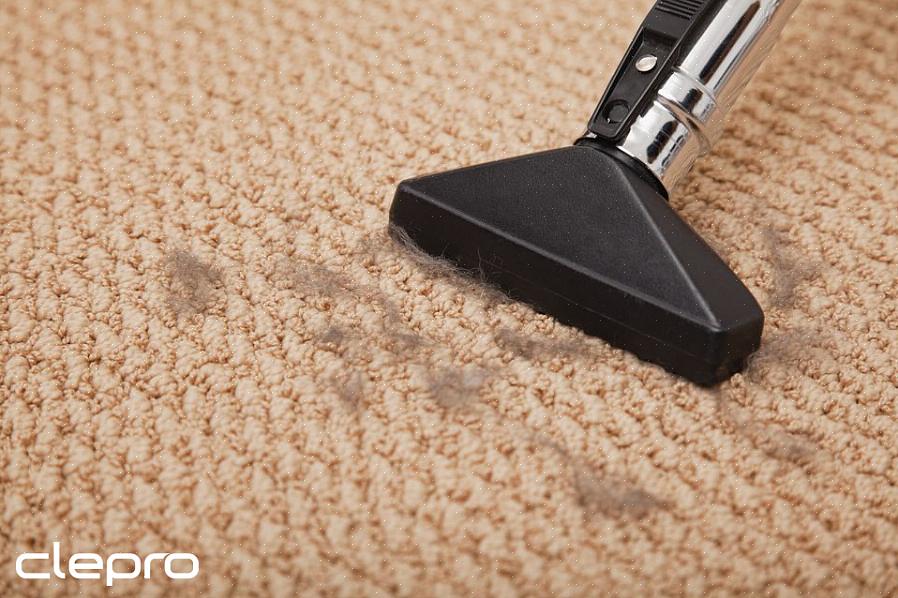 Progettata per agitare le fibre del tappeto per aiutare ad allentare il terreno in profondità nel mucchio