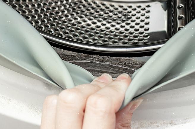 Le lavatrici a carico frontale stanno diventando sempre più popolari in Europa