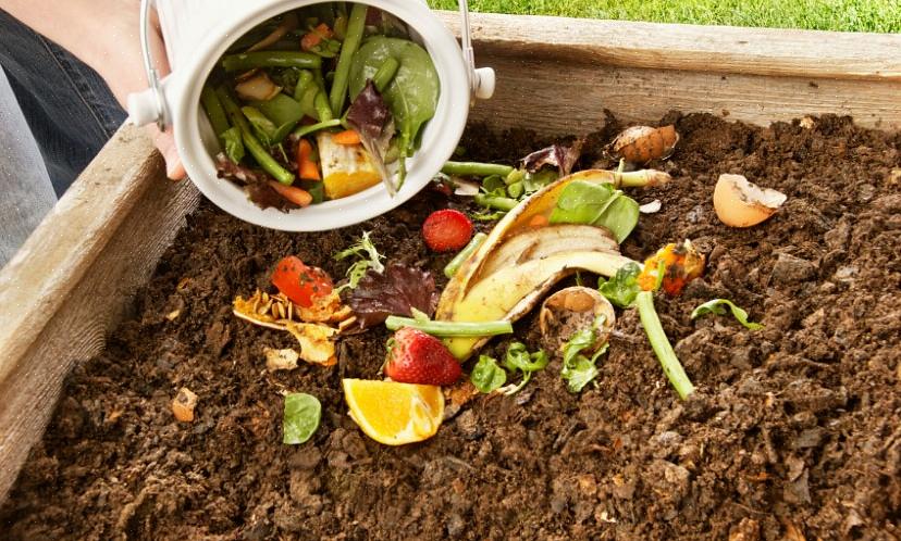 Il compost può essere acquistato in qualsiasi centro di forniture per giardini