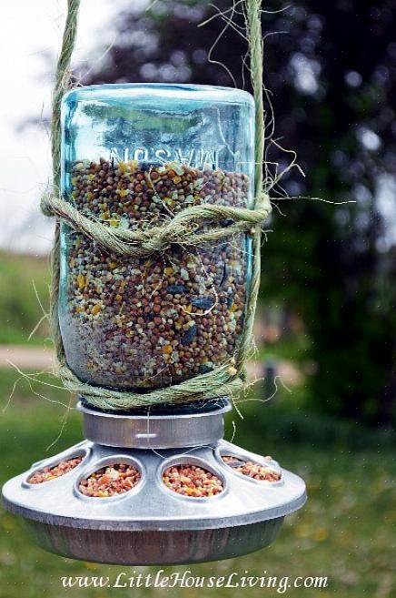 Pulizia di una mangiatoia per colibrì in barattoli di pappe