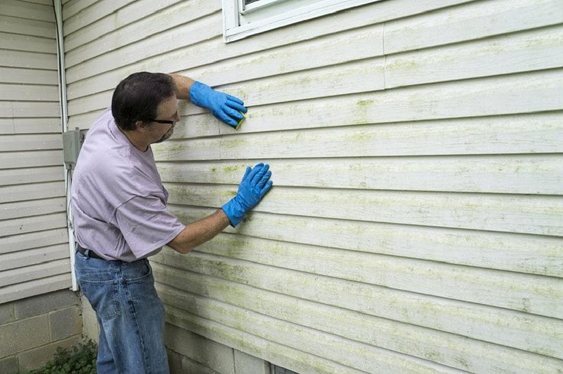 Dipingi le superfici pulite o innescate con uno strato uniforme di vernice esterna