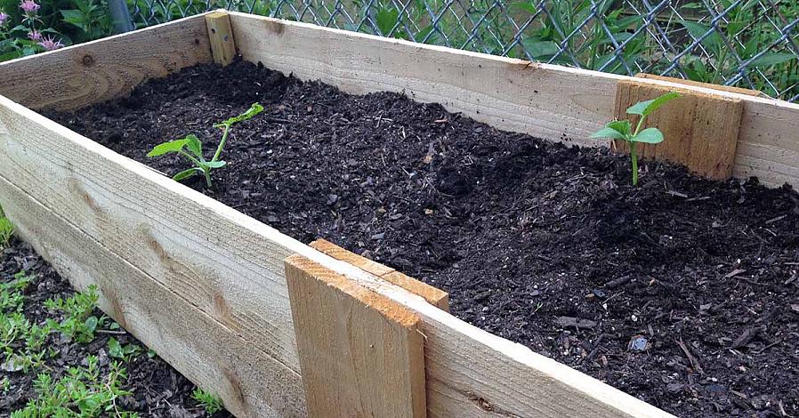Ecco le istruzioni per costruire il tuo orto rialzato in legno