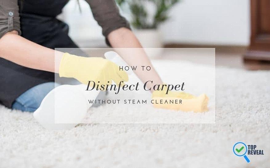 I tappeti devono essere aspirati più volte alla settimana per rimuovere lo sporco
