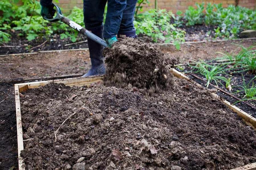 Il letame animale è un materiale organico che viene spesso utilizzato per migliorare il terreno del giardino