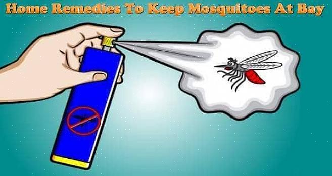 Come puoi controllare o uccidere le larve di zanzara che potrebbero essere in agguato in questi luoghi