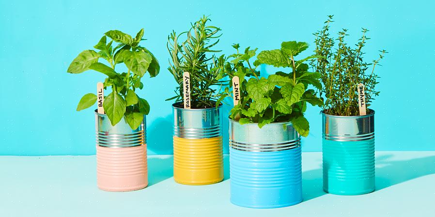 Non avrai bisogno di aggiungere cibo per piante idrosolubile quando innaffi le tue piante