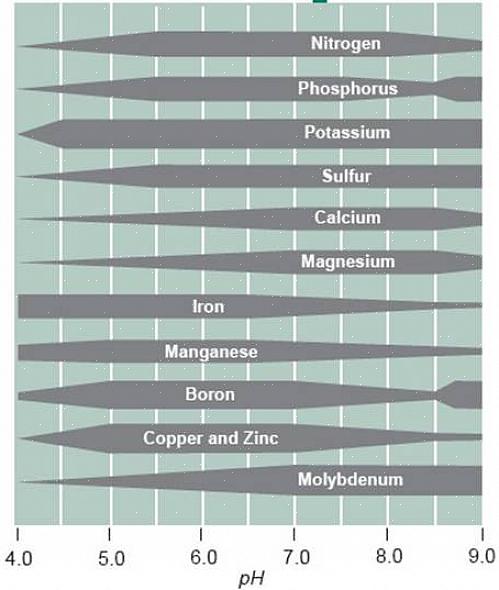 Il pH ideale del terreno per la maggior parte delle piante paesaggistiche