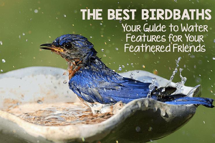 L'aggiunta di uno o più giochi d'acqua al tuo giardino attirerà rapidamente gli uccelli