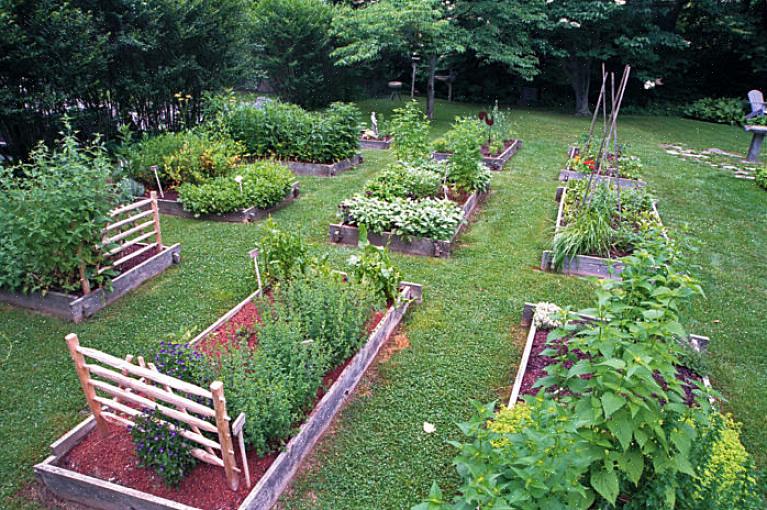 L'iconico giardino di erbe aromatiche di quattro quadrati può richiedere una manutenzione molto elevata