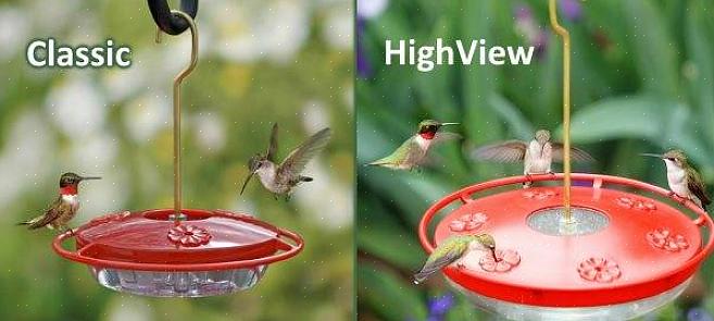 I posatoi non sono necessari per gli alimentatori di colibrì