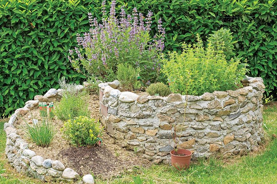 Ecco 10 erbe che crescono bene su (o in) un giardino di erbe con muro di roccia