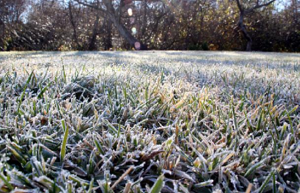 L'erba del prato diventa dormiente in inverno