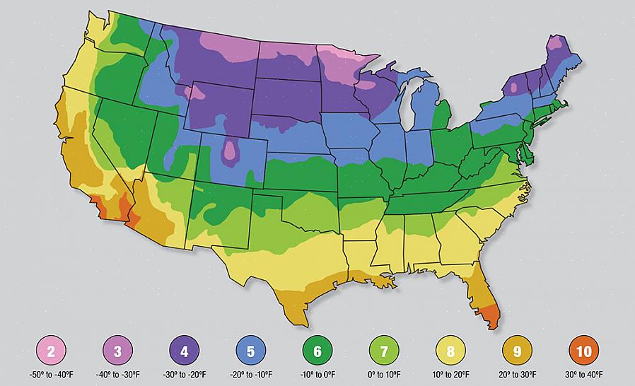 La mappa USDA Plant Hardiness Zone è un riferimento ampiamente utilizzato che aiuta i giardinieri
