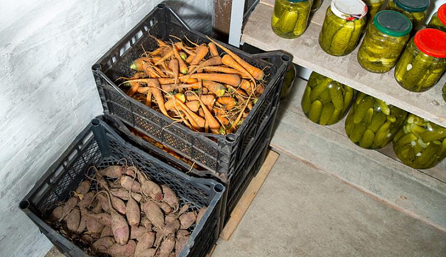 Con una buccia abbastanza dura da resistere all'ammaccatura dell'unghia