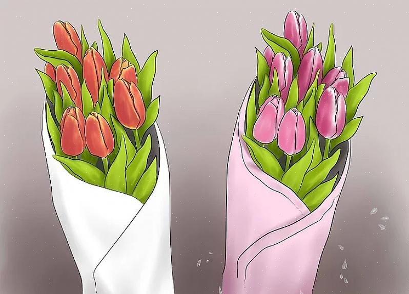 I bulbi dei tulipani