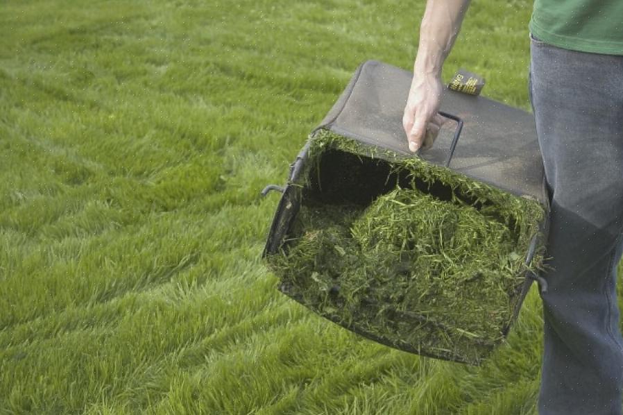 Un buon modo per spostarsi dovendo raccogliere o rastrellare l'erba tagliata è falciare con un tosaerba