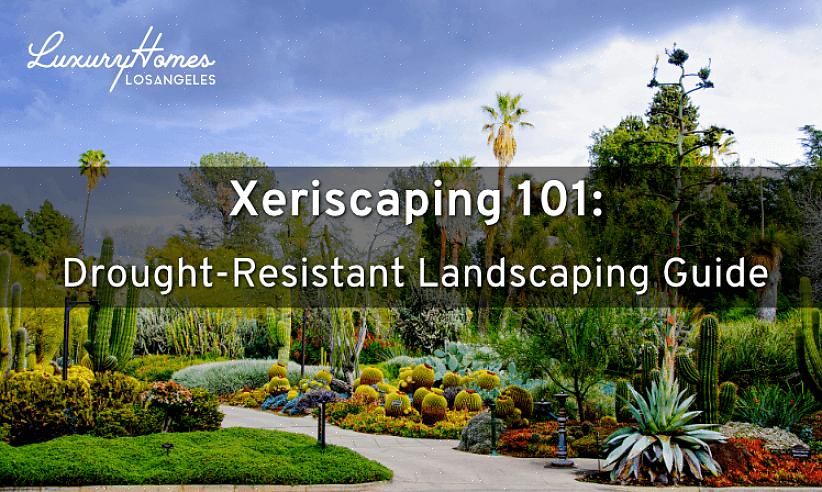 Xeriscape landscaping significa semplicemente raggruppare piante con requisiti di irrigazione simili