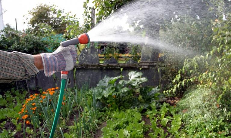 Non lasciarla finire con un paesaggio acquatico