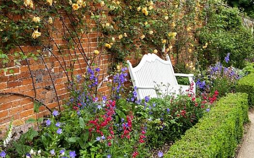 Le piante con fogliame bordeaux riempiono il divario tra i cicli di fioritura nel bordo dei fiori estivi